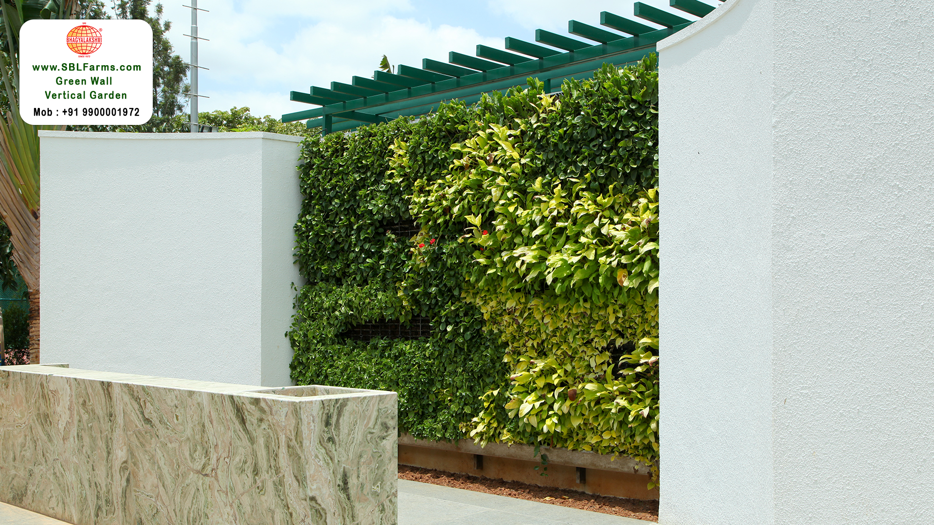 Sbl Farms Green walls and Living walls, Vertical Garden, Bio Curtains